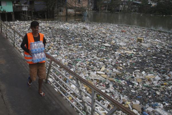 From rivers to mangroves, microplastics…