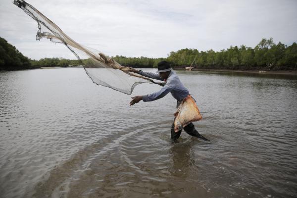 Kenya launches a carbon registry to&hellip;