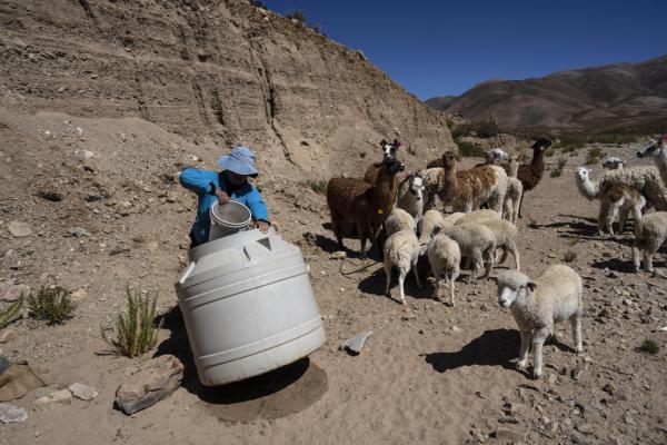 In Argentina, lithium exploration…
