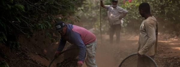 photo of ‘Insignificant risk’ EUDR proposal threatens fight against deforestation, critics say image