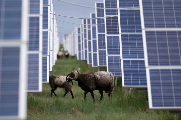 China races to build world’s largest…