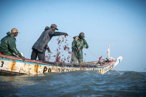 A ‘sea war’ brews off Gambia as…