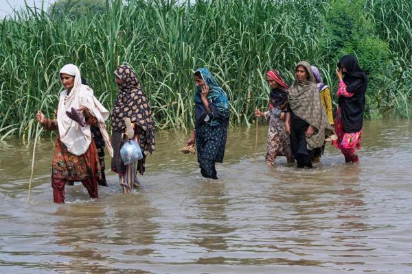 Mass evacuations in flood-hit Punjab hit…