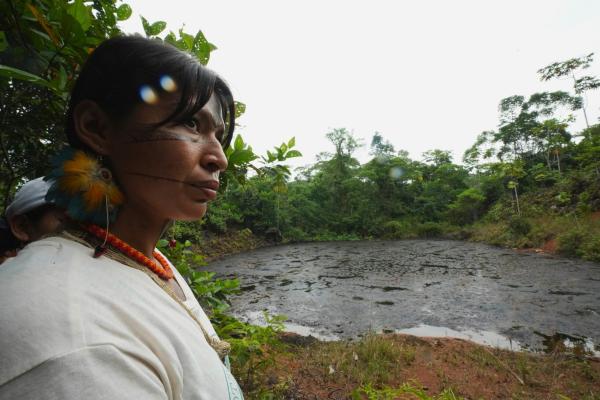 Indigenous territories maintain Amazon…