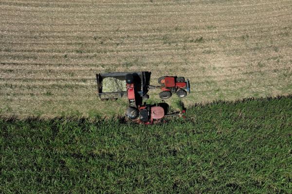 Brazil is uniquely positioned to weather&hellip;