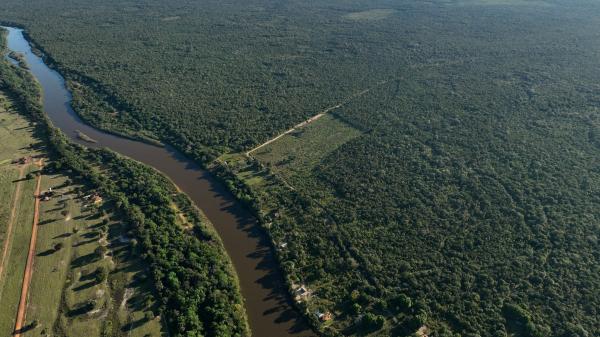 New analysis breaks down 2025 Amazon deforestation, with&hellip;