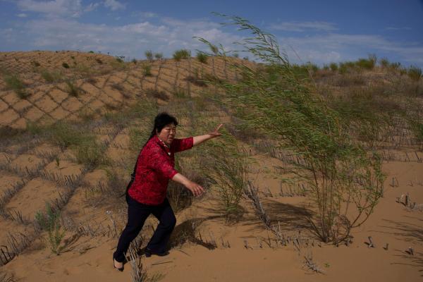 China’s ‘Green Great Wall’ tames&hellip;