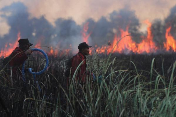 Indonesia charges 72 over fires as haze&hellip;