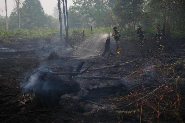 Wildfires threaten Indonesia’s…