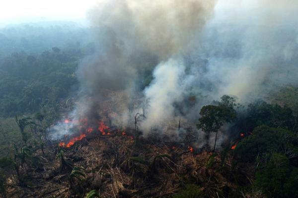 Future of Amazon rainforest policies at&hellip;