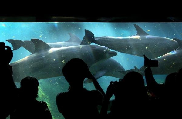 Singapore resort said to halt&hellip;