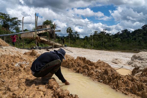 Organized crime & gold trade are…