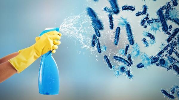Germs Gone Wild: 5 Natural Cleaning…