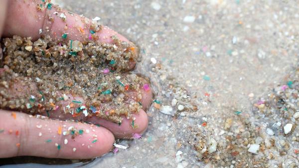 Guest Idea: Home Microplastics Reduction…
