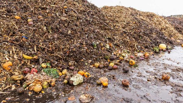 About That $3,000 Bag of Groceries in&hellip;