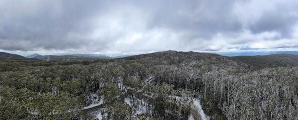 Australia declares mainland alpine ash&hellip;