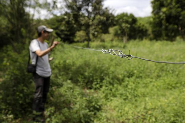 Electrocution, conflict, poaching mark grim start to year&hellip;