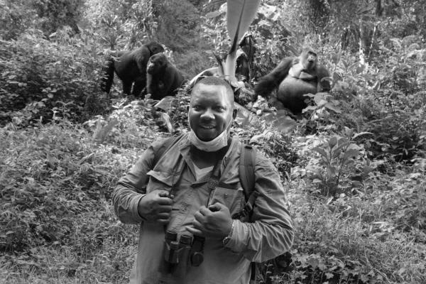 In eastern Congo’s war-torn forests,…