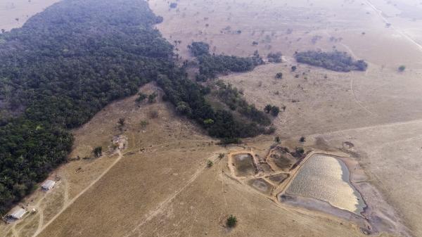 In Brazil, regenerative farming&hellip;