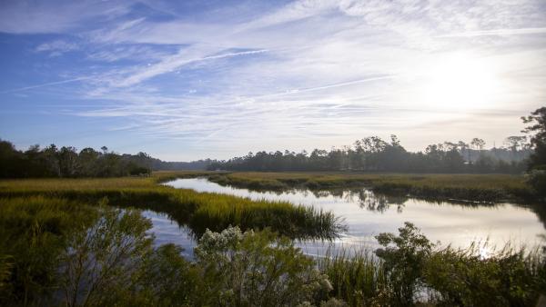 A new plan to preserve Georgia’s&hellip;
