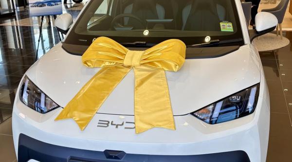 Look Out For Your Chips, The Seagull Is&hellip;