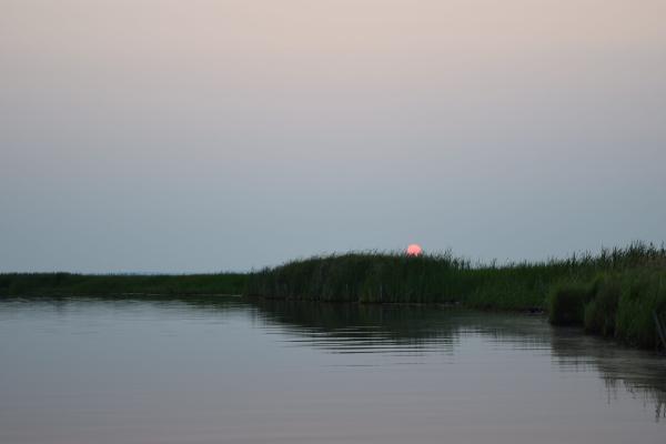 photo of Q&A: Near Lake Superior, a Tribe Fights to Remove a Pipeline From the Wetlands It Depends On image