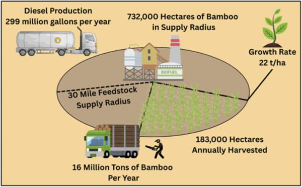 Fuel From Bamboo Costs Just $2.75 Per…