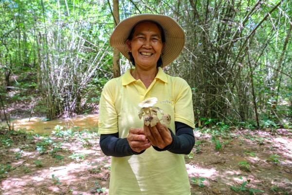 Women-led patrols and fire prevention restore forests in northern Thailand
