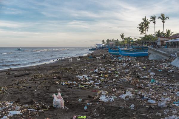 photo of As plastics treaty talks enter the final round, here’s what to expect image