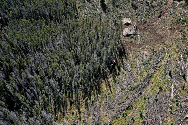 The Trump administration wants to take&hellip;