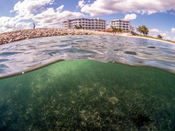 Global ocean protection target will fail&hellip;