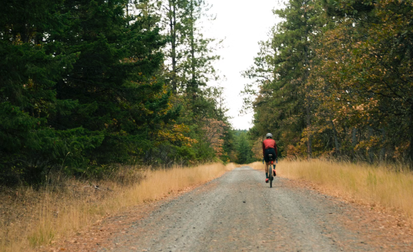 photo of Popular Cycling Roads and Trails Threatened by Trump’s Public Lands Sell-off image