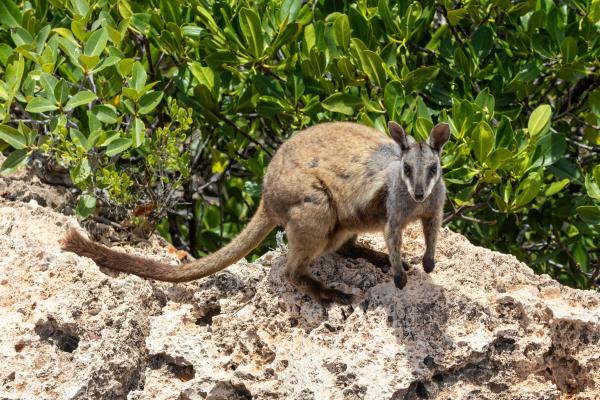 Australia is failing to meet its&hellip;