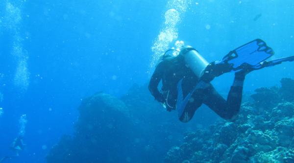 What Are Blue Spots? How Can They Help&hellip;