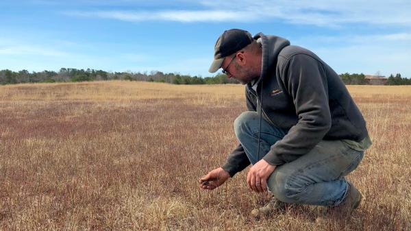 Wild blueberry farms across Maine suffer&hellip;