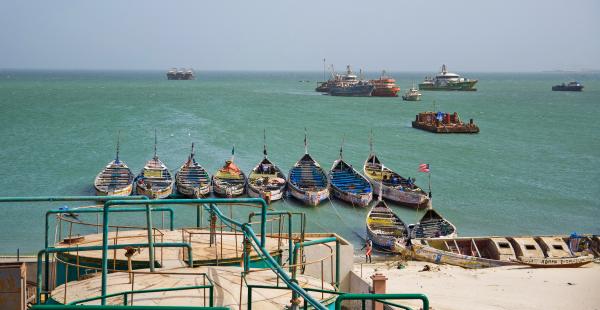 Mauritania’s fishmeal fever ends as government tightens&hellip;