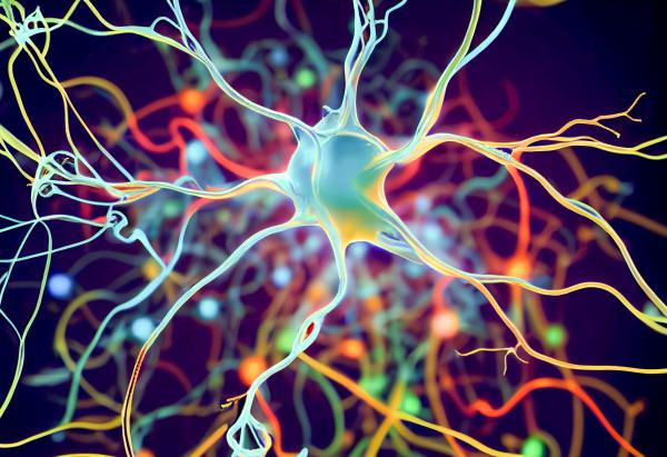 Small plastic particles in the brain&hellip;