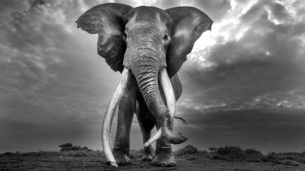 What Craig’s long life reveals about&hellip;