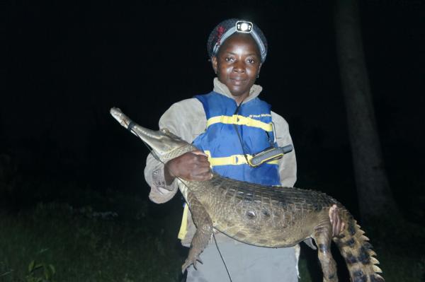 Côte d’Ivoire’s tree-climbing&hellip;