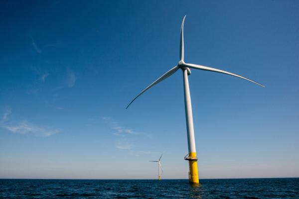 The Whimbrel and the Wind Turbines:…