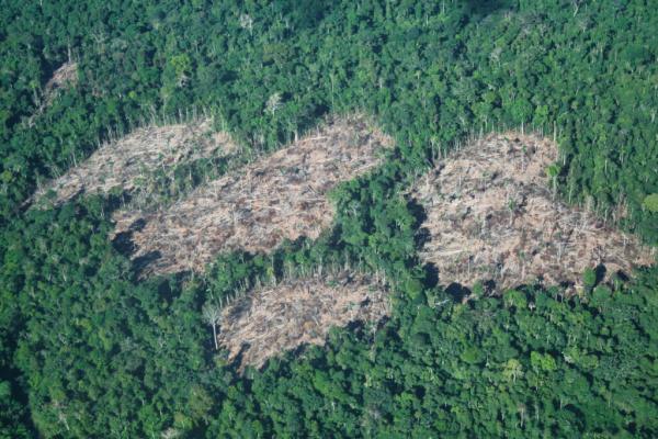 Peru to Consider New Reserve for…