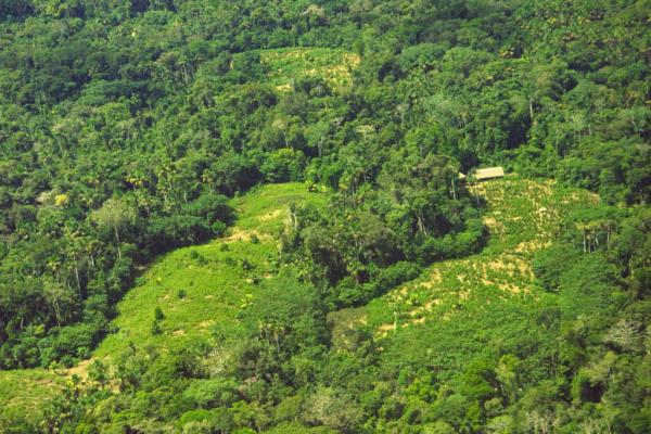 Peru Votes Against Creating New…