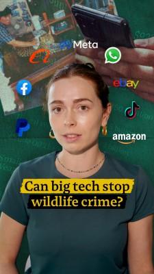 Can big tech stop wildlife crime?