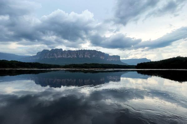 The price of gold: In Venezuela, mining…