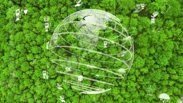 Cheap isn’t always a bad thing when it&hellip;