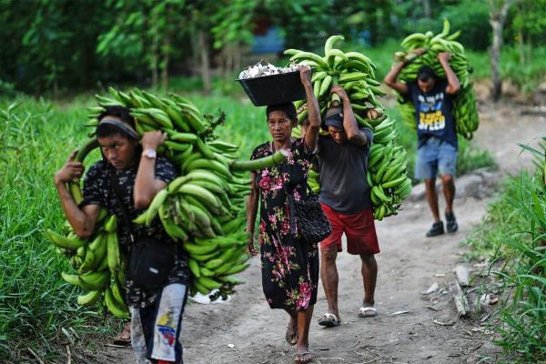 How climate change could affect…