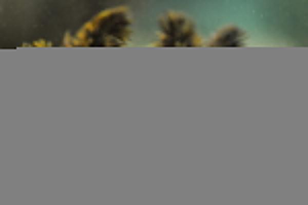 Scientists & nuns unite to save…