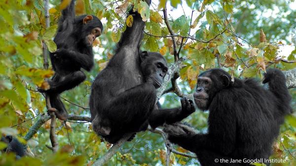 One year on, TGBS benchmark shows how to&hellip;