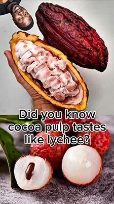 Did you know cocoa pulp tastes like&hellip;