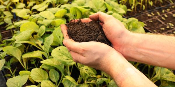 photo of Ideas we should steal: Safely making compost from … poop? image